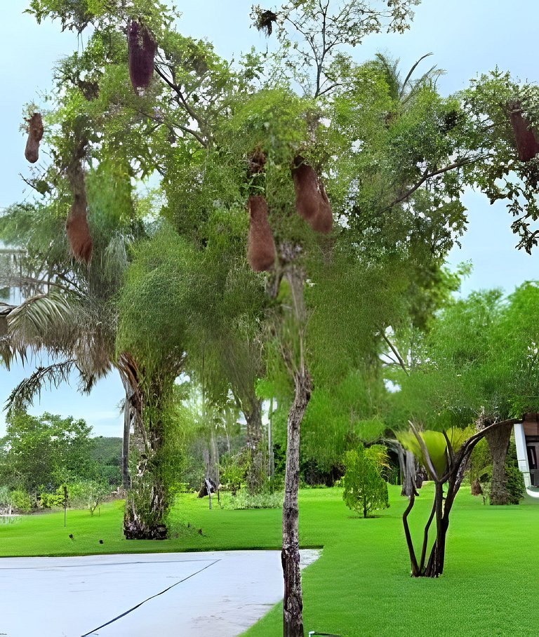 Villa Dendê Hospedagem de Charme em Cumuruxatiba